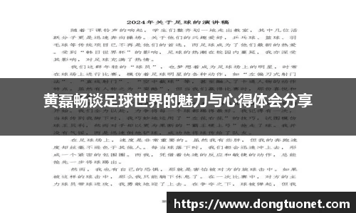 黄磊畅谈足球世界的魅力与心得体会分享