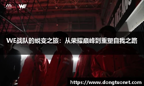 WE战队的蜕变之旅：从荣耀巅峰到重塑自我之路