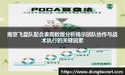 南京飞盘队配合表现数据分析揭示团队协作与战术执行的关键因素