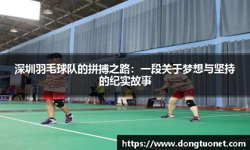 深圳羽毛球队的拼搏之路：一段关于梦想与坚持的纪实故事