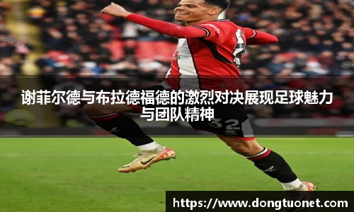 谢菲尔德与布拉德福德的激烈对决展现足球魅力与团队精神